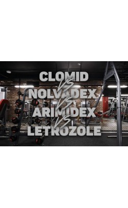 Clomid vs Nolva vs Arimidex vs Letrozole