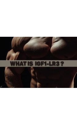 What is IGF1-LR3?