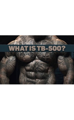 What is TB-500?