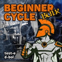 Bodybuilding Beginner aas Steroid BULK Cycle Bulking 