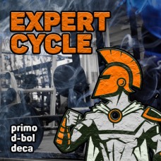 Expert cycle